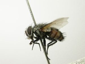  ( - INBIOCRI001907498)  @13 [ ] Unspecified (default): All Rights Reserved  Unspecified Unspecified