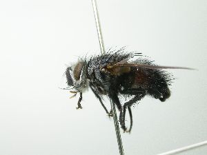  ( - INBIOCRI001937278)  @12 [ ] Unspecified (default): All Rights Reserved  Unspecified Unspecified