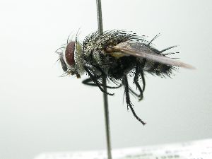  ( - inb0003170463)  @14 [ ] Unspecified (default): All Rights Reserved  Unspecified Unspecified