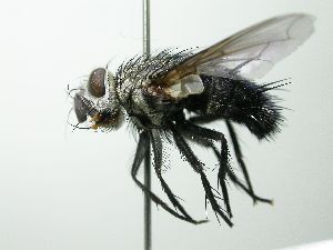  ( - inb0003314468)  @13 [ ] Unspecified (default): All Rights Reserved  Unspecified Unspecified
