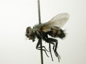  ( - inb0003744576)  @14 [ ] Unspecified (default): All Rights Reserved  Unspecified Unspecified