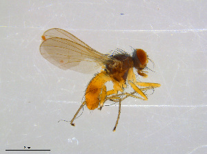  ( - BIOUG14574-H07)  @13 [ ] CreativeCommons - Attribution Non-Commercial Share-Alike (2011) M. Alex Smith University of Guelph