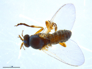  ( - BIOUG14578-E04)  @12 [ ] CreativeCommons - Attribution Non-Commercial Share-Alike (2011) M. Alex Smith University of Guelph