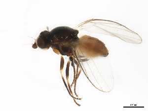  ( - BIOUG01410-C12)  @13 [ ] CreativeCommons - Attribution (2012) CBG Photography Group Centre for Biodiversity Genomics
