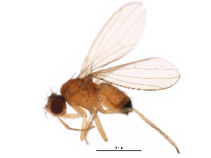  ( - BIOUG01400-B07)  @13 [ ] CreativeCommons - Attribution (2012) CBG Photography Group Centre for Biodiversity Genomics