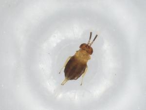  ( - BIOUG82758-D09)  @11 [ ] CreativeCommons - Attribution (2022) Centre for Biodiversity Genomics Centre for Biodiversity Genomics