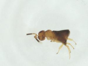  ( - CBG-A27128-A07)  @11 [ ] CreativeCommons - Attribution Share - Alike (2024) Centre for Biodiversity Genomics Centre for Biodiversity Genomics