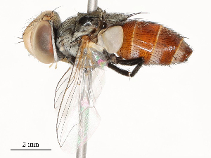  ( - CBG-A51940-H06)  @11 [ ] CreativeCommons - Attribution Share - Alike (2024) CBG Photography Group Centre for Biodiversity Genomics
