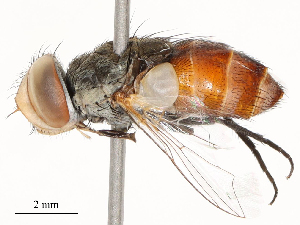 ( - CBG-A51940-H07)  @11 [ ] CreativeCommons - Attribution Share - Alike (2024) CBG Photography Group Centre for Biodiversity Genomics
