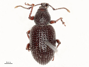  ( - CBG-A51941-F08)  @11 [ ] CreativeCommons - Attribution Share - Alike (2024) CBG Photography Group Centre for Biodiversity Genomics