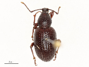  ( - CBG-A51941-F09)  @11 [ ] CreativeCommons - Attribution Share - Alike (2024) CBG Photography Group Centre for Biodiversity Genomics