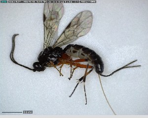  ( - VM-2014-CN-1162)  @13 [ ] CreativeCommons - Attribution Non-Commercial Share-Alike (2015) Unspecified Natural Resource Canada