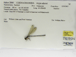  ( - INB0004315393)  @11 [ ] Copyright (2012) B. Haber Instituto Nacional de Biodiversidad