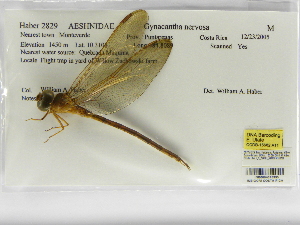  ( - INB0004315395)  @12 [ ] Copyright (2012) B. Haber Instituto Nacional de Biodiversidad