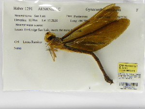  ( - INB0004315523)  @12 [ ] Copyright (2012) B. Haber Instituto Nacional de Biodiversidad