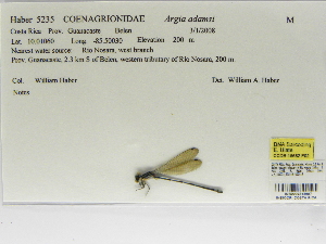  ( - INB0004315607)  @11 [ ] Copyright (2012) B. Haber Instituto Nacional de Biodiversidad