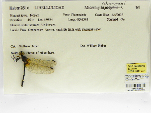  ( - INB0004316041)  @11 [ ] Copyright (2012) B. Haber Instituto Nacional de Biodiversidad