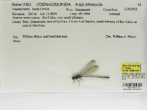  ( - INB0004317772)  @11 [ ] Copyright (2012) B. Haber Instituto Nacional de Biodiversidad