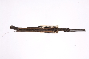  ( - INBIOCRI000269353)  @11 [ ] Copyright (2012) I. Cruz Instituto Nacional de Biodiversidad