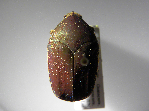  ( - INB0003028166)  @13 [ ] Copyright (2010) A. Solis Unspecified