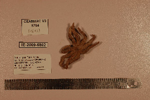  ( - CEAMARC_V3_5764)  @13 [ ] Unspecified (default): All Rights Reserved  Copyright Unspecified