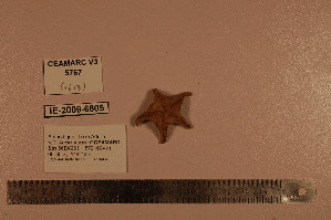 ( - CEAMARC_V3_5767)  @13 [ ] Unspecified (default): All Rights Reserved  Copyright Unspecified