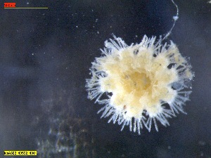  ( - IceAGE_2_43592_4)  @11 [ ] Unspecified (default): All Rights Reserved  Unspecified Unspecified