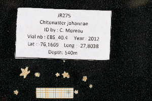  ( - JR275_EBS_40.4)  @11 [ ] Unspecified (default): All Rights Reserved  Unspecified Unspecified