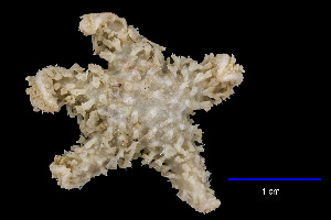  ( - JR15005_2842.9)  @11 [ ] Unspecified (default): All Rights Reserved  Unspecified Unspecified