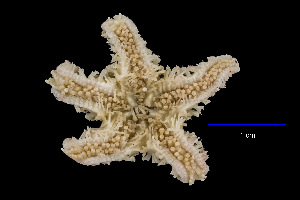  ( - JR15005_2842.9)  @11 [ ] Unspecified (default): All Rights Reserved  Unspecified Unspecified