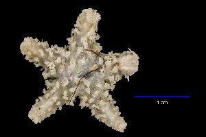  ( - JR15005_2842.8)  @11 [ ] Unspecified (default): All Rights Reserved  Unspecified Unspecified