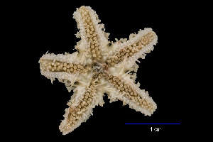  ( - JR15005_2842.8)  @11 [ ] Unspecified (default): All Rights Reserved  Unspecified Unspecified