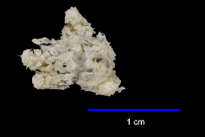  ( - JR15005_644.1)  @11 [ ] Unspecified (default): All Rights Reserved  Unspecified Unspecified