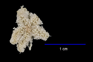  ( - JR15005_644.1)  @11 [ ] Unspecified (default): All Rights Reserved  Unspecified Unspecified