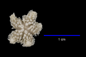  ( - JR15005_729.1)  @11 [ ] Unspecified (default): All Rights Reserved  Unspecified Unspecified