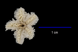  ( - JR15005_729.1)  @11 [ ] Unspecified (default): All Rights Reserved  Unspecified Unspecified