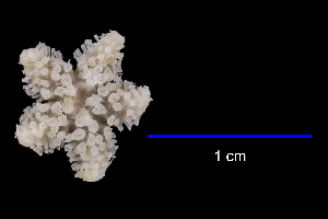  ( - JR15005_729.3)  @11 [ ] Unspecified (default): All Rights Reserved  Unspecified Unspecified