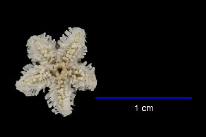  ( - JR15005_729.3)  @11 [ ] Unspecified (default): All Rights Reserved  Unspecified Unspecified