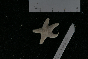  ( - PTK6_108.12)  @11 [ ] Unspecified (default): All Rights Reserved  Unspecified Unspecified