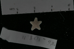  ( - PTK6_108.11)  @11 [ ] Unspecified (default): All Rights Reserved  Unspecified Unspecified