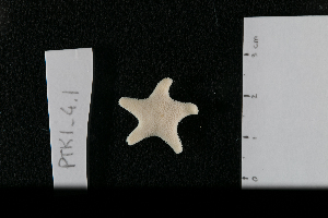  ( - PTK1_4.1)  @11 [ ] Unspecified (default): All Rights Reserved  Unspecified Unspecified