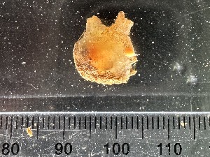  ( - Quoddy 360)  @11 [ ] CreativeCommons - Attribution Share-Alike (2025) Unspecified Huntsman Marine Science Centre