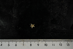  ( - JR275_526.15)  @13 [ ] CreativeCommons - Attribution Non-Commercial Share-Alike (2012) Huw Griffiths British Antarctic Survey