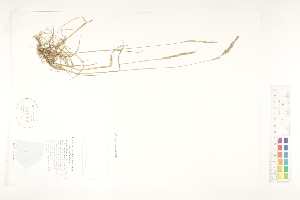  ( - CCDB-25849-G07)  @11 [ ] CreativeCommons - Attribution (2019) CBG Photography Group Centre for Biodiversity Genomics