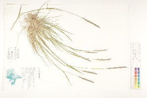  ( - CCDB-25849-G08)  @11 [ ] CreativeCommons - Attribution (2019) CBG Photography Group Centre for Biodiversity Genomics