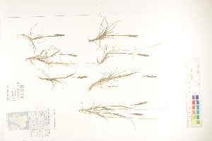  ( - CCDB-25849-G10)  @11 [ ] CreativeCommons - Attribution (2019) CBG Photography Group Centre for Biodiversity Genomics