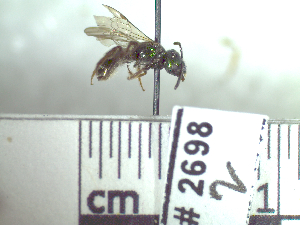  ( - BB2698)  @12 [ ] CreativeCommons - Attribution Non-Commercial No Derivatives (2011) Dr. Berry Brosi Emory University