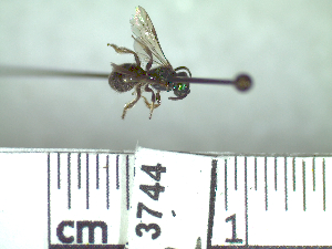  ( - BB3744)  @12 [ ] CreativeCommons - Attribution Non-Commercial No Derivatives (2011) Dr. Berry Brosi Emory University