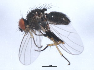  ( - 10BBCDIP-0361)  @12 [ ] CreativeCommons - Attribution (2010) CBG Photography Group Centre for Biodiversity Genomics