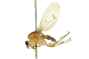  ( - 10BBCDIP-2159)  @15 [ ] CreativeCommons - Attribution (2010) CBG Photography Group Centre for Biodiversity Genomics